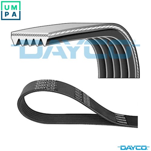 Vribbed belt 5pk1100 for - vribbed,