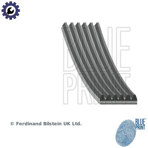 Vribbed belt ad06r946 - belt, for
