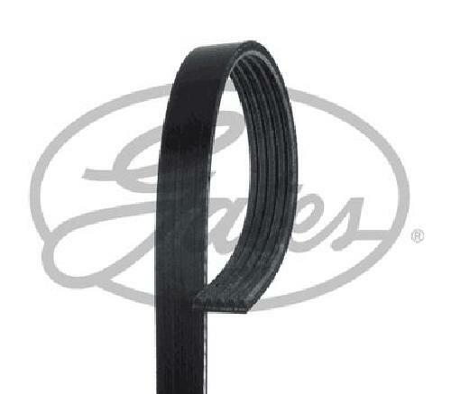 Genuine gates ribbed belt - gates,