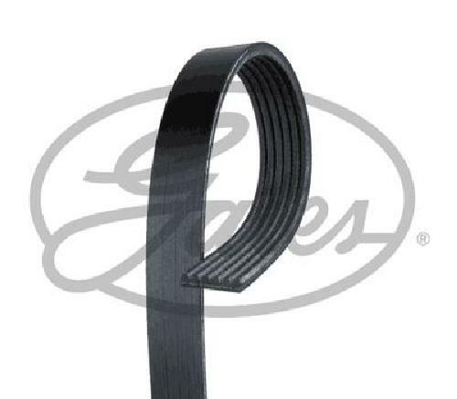 Genuine gates ribbed belt - genuine,