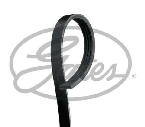Genuine gates ribbed - genuine,