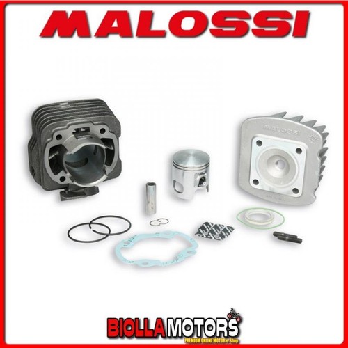 318734 cylinder kit malossi - cylinder,