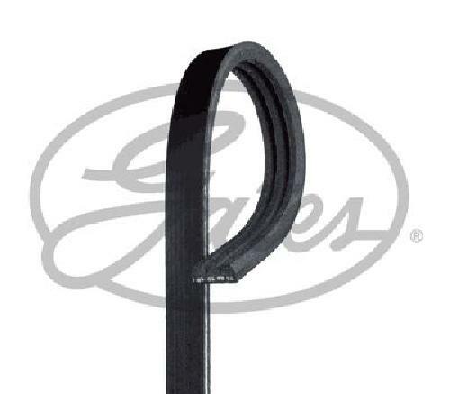 Genuine gates ribbed - v-ribbed, belt
