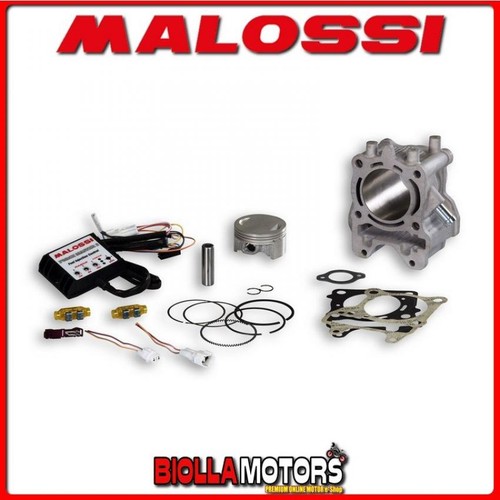 3117559 cylinder kit malossi - cylinder,