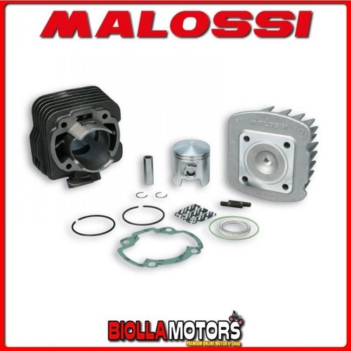 319879 cylinder kit malossi - cylinder,