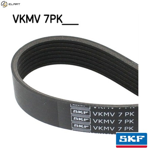 Vribbed belt vkmv 7pk1290 - vribbed, for