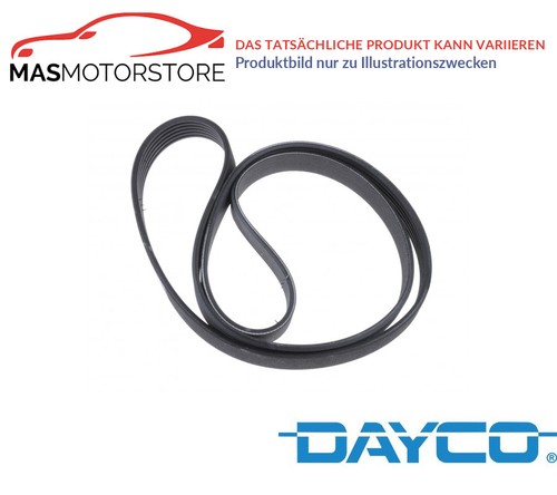 Belt ribbed dayco - belt,