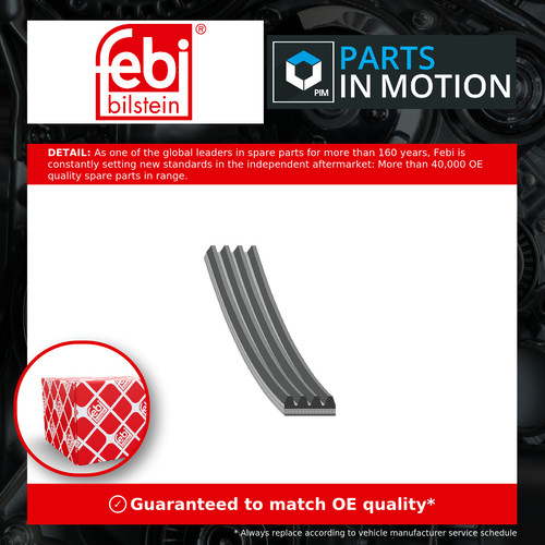 Rib multi drive - rib, belt